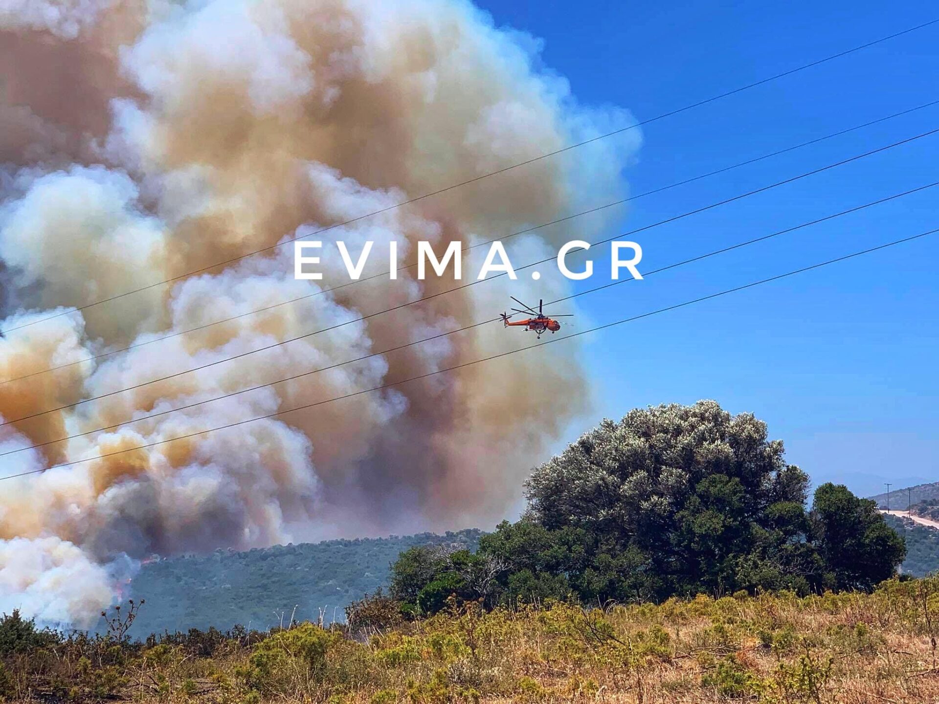 Εύβοια: Ανεξέλεγκτη η φωτιά στους Ραπταίους -Επιχειρούν και εναέρια μέσα, καίει κοντά σε οικισμό