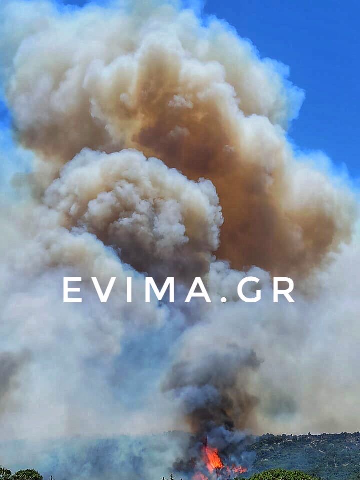 Εύβοια: Ανεξέλεγκτη η φωτιά στους Ραπταίους -Επιχειρούν και εναέρια μέσα, καίει κοντά σε οικισμό
