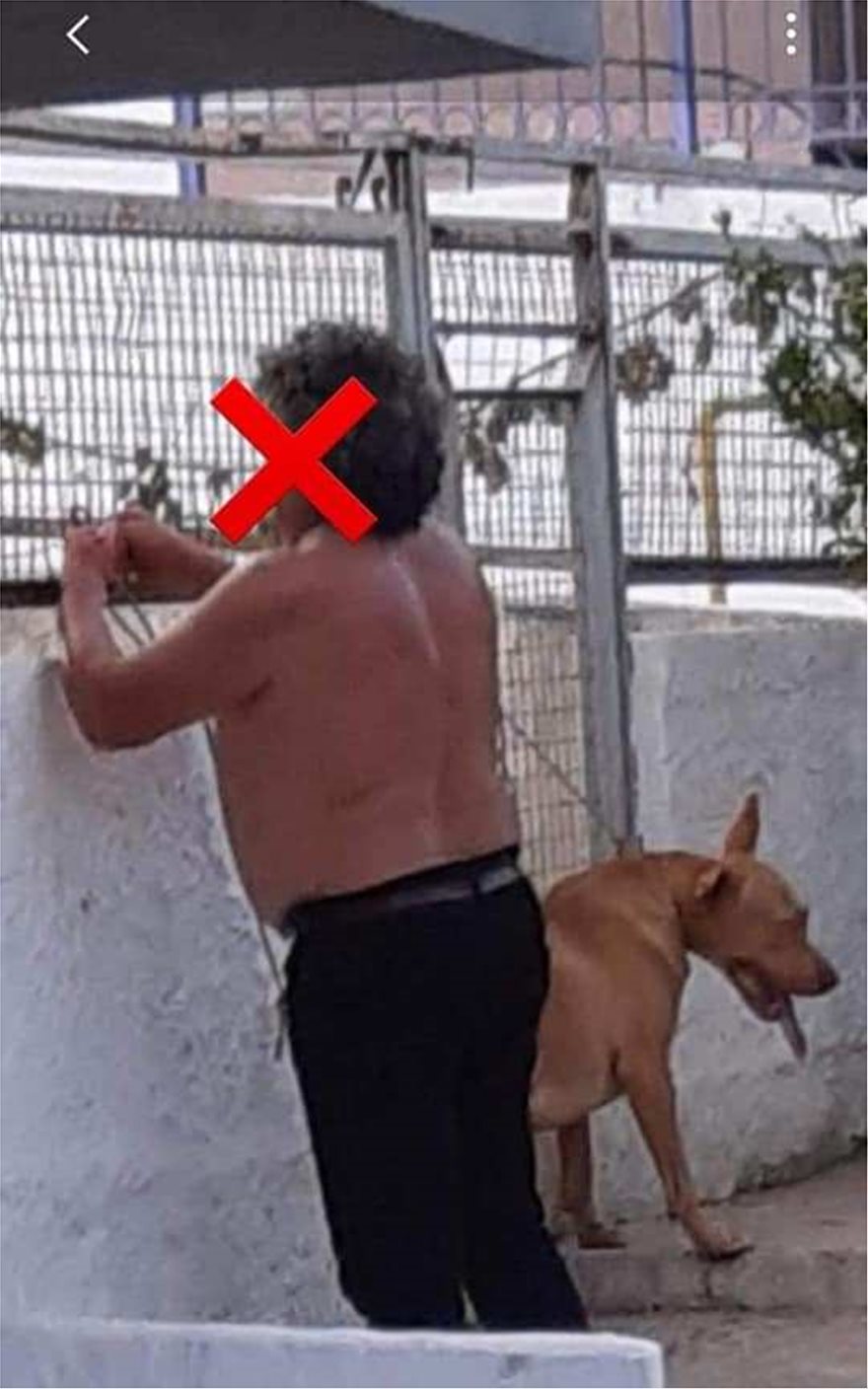 Χανιά: Τέρας κρέμασε τον σκύλο του και του έκοψε τους όρχεις επειδή ήθελε παιχνίδια και τον ενοχλούσε